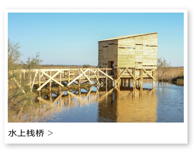 水上栈桥